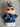 Testing Alt