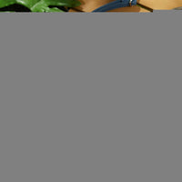 LABUBU rain boot bag - FALL IN WILD series